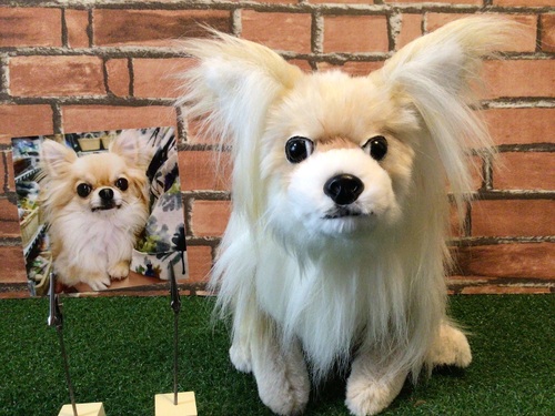 出店イメージ5
