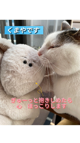 出店イメージ1