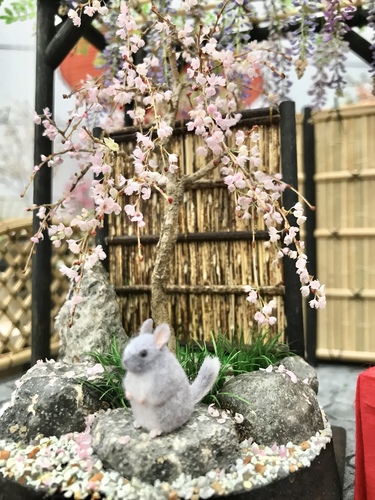 出店イメージ5