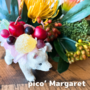 pico' Margaret