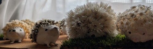 出店イメージ5