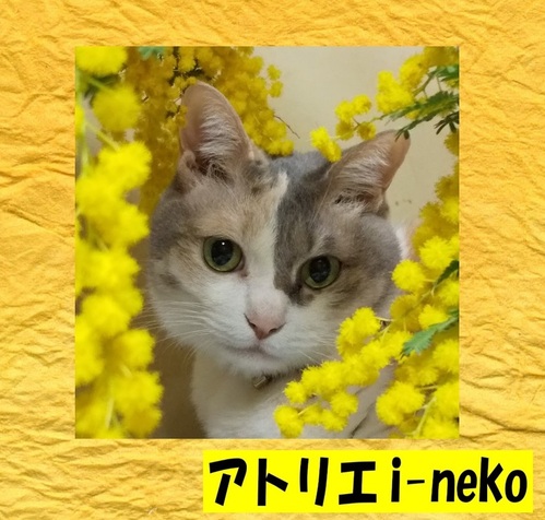 出店イメージ1