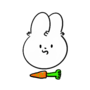 .M