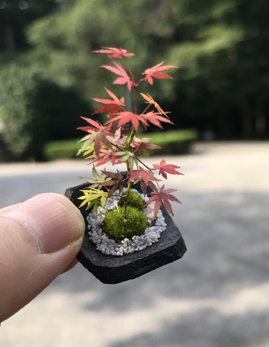 出店イメージ1