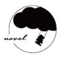 novel