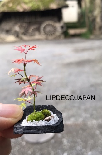 出店イメージ1