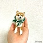 Jitsuko